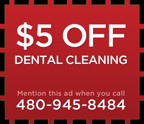 Ahwatukee Dog teeth cleaning Special